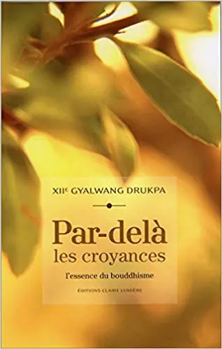 PAR-DELÀ LES CROYANCES - L'essence du bouddhisme