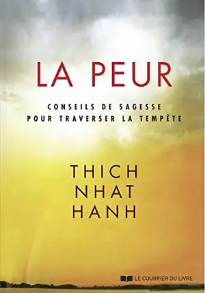 LA PEUR - CONSEILS DE SAGESSE POUR TRAVERSER LA TEMPÊTE