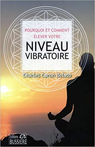 POURQUOI ET COMMENT ÉLEVER VOTRE NIVEAU VIBRATOIRE