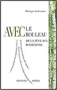 Avec le bouleau - De la sève aux bourgeons