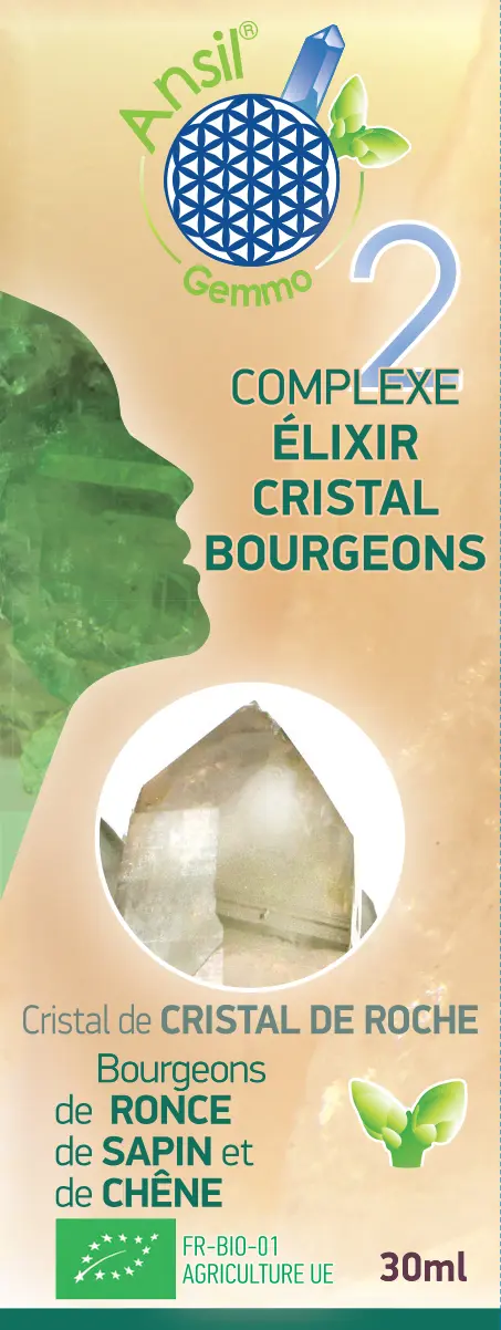 Élixir Complexe Energie Vitale - N° 2