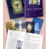 L'Oracle de Brocéliande - Le livre et le jeu de 53 cartes - Coffret