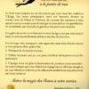 Le pouvoir des Runes et des Mots Runiques – Image 2