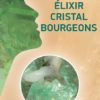 Élixir Complexe Intestins - N° 6