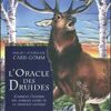 L'Oracle des Druides – Image 2