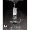 L'Oracle du Petit Enchanteur - Coffret