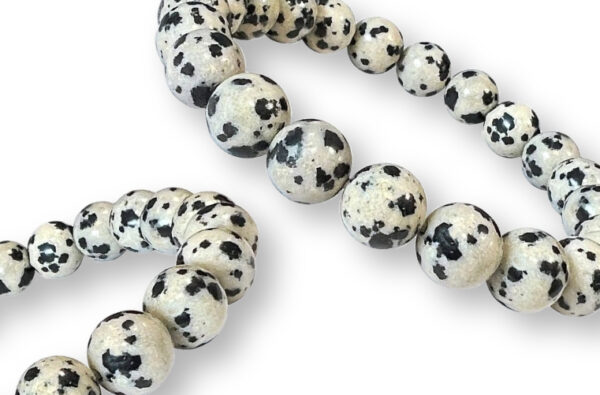 Bracelet Jaspe Dalmatien Ø 8mm