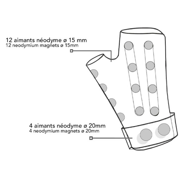 GANT CARPIEN MAGNÉTIQUE MAIN GAUCHE TM AURIS – Image 3