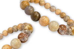Bracelet Corail Fossile Ø 8mm