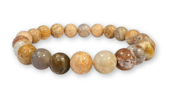 Bracelet Corail Fossile Ø 8mm – Image 2